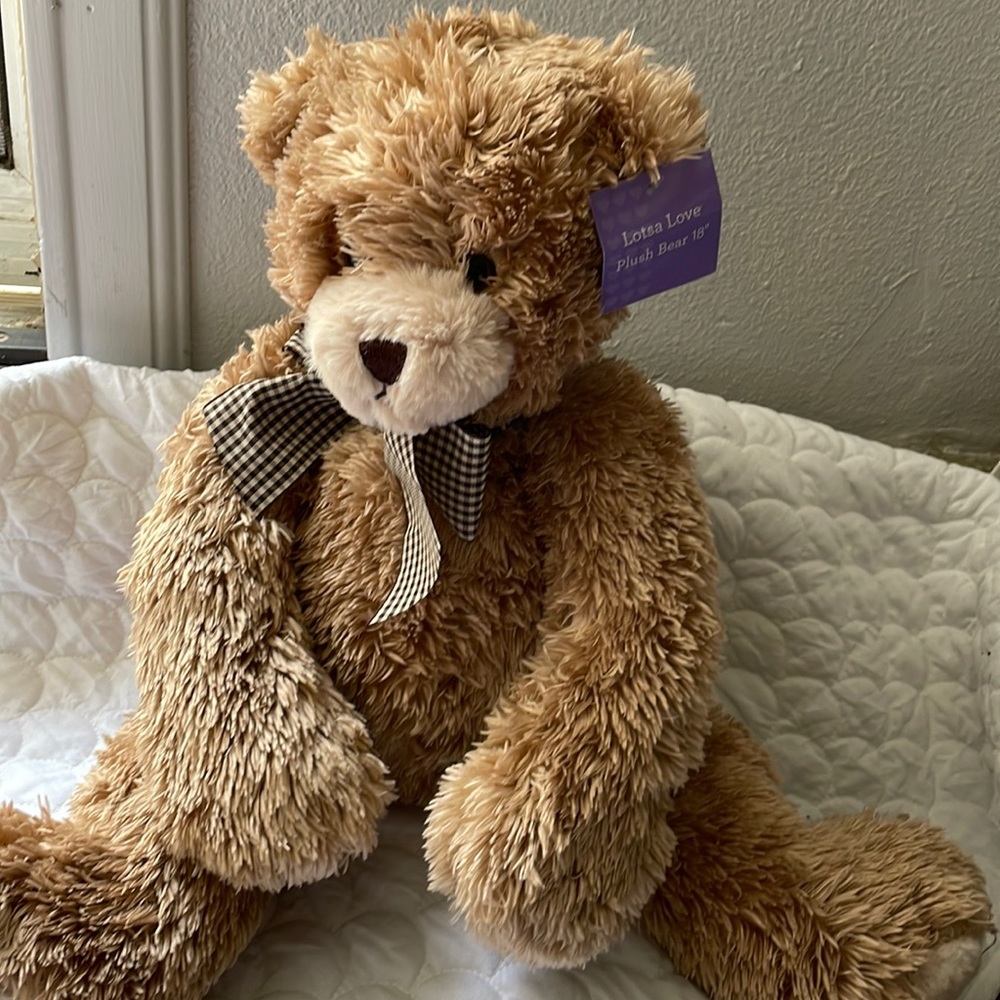 Exclusive LotsaLove cuddly plush bear with a huggable personality.